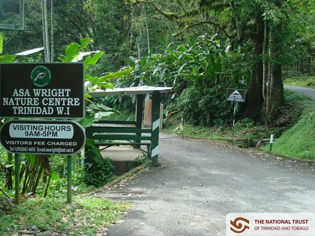 How a Northern Range Cocoa Estate Became the Asa Wright Nature Centre