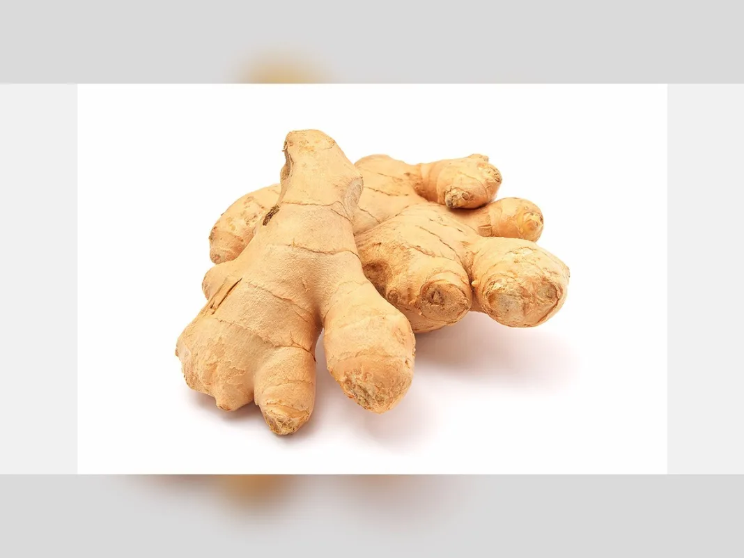 UK ginger imports from Peru rise in value as falling prices reshape the global market