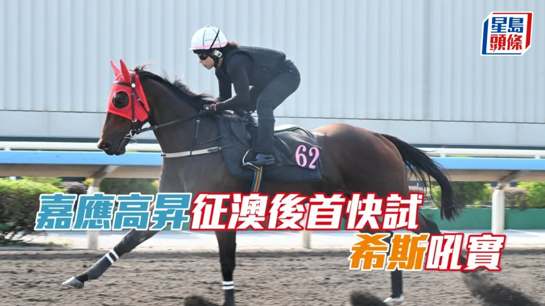 姚本輝大舉練兵
