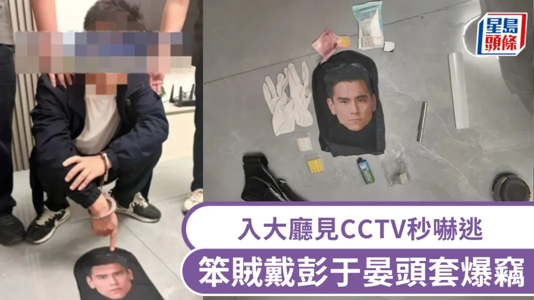 戴彭于晏頭套爆竊｜笨賊入大廳見CCTV秒嚇逃 當晚落網民警笑翻｜有片